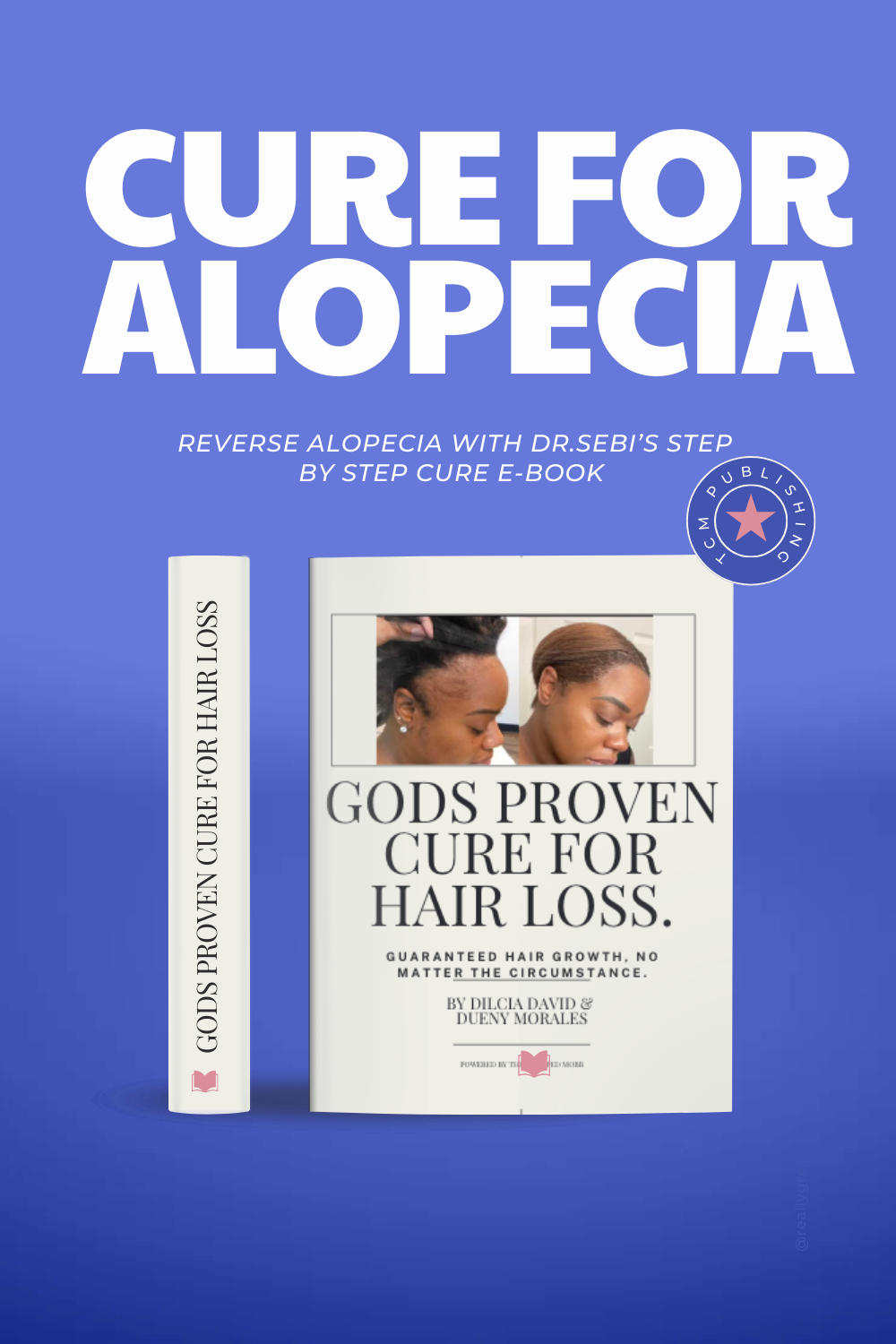 E-Book: Gods Proven Cure for Hair Loss inspired by Dr.Sebis teachings.